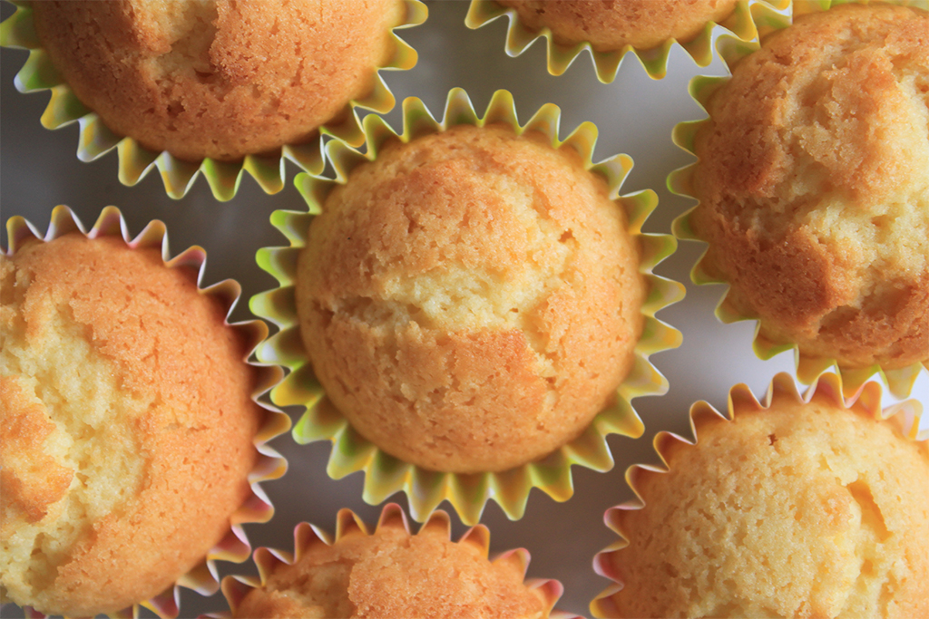 MAMECO -hokkaido soy muffin bake shop-